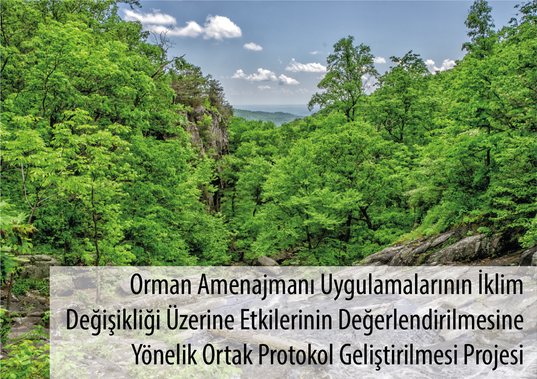 İklim Değişikliği Üzerine Tüm Detaylar İklim Değişikliği Üzerine Tüm Detaylar